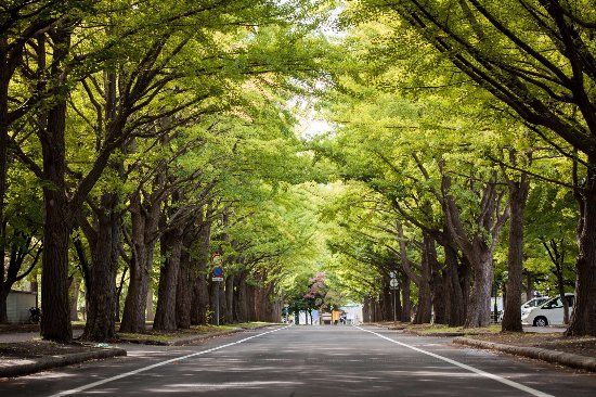Hokkaido University Sapporo Campus